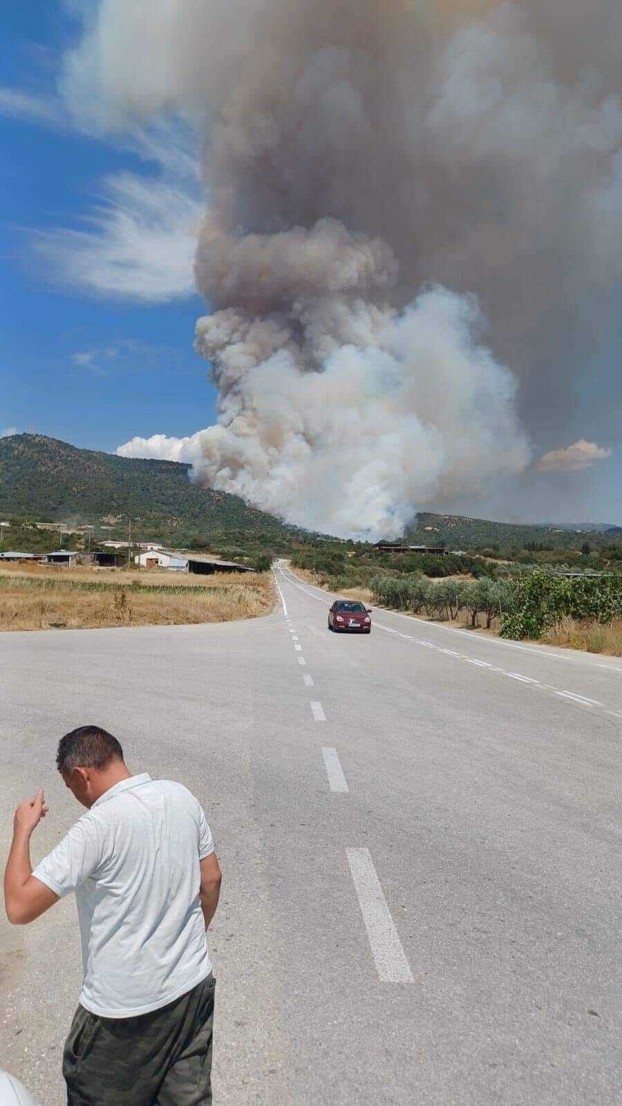 rodopi.jpg