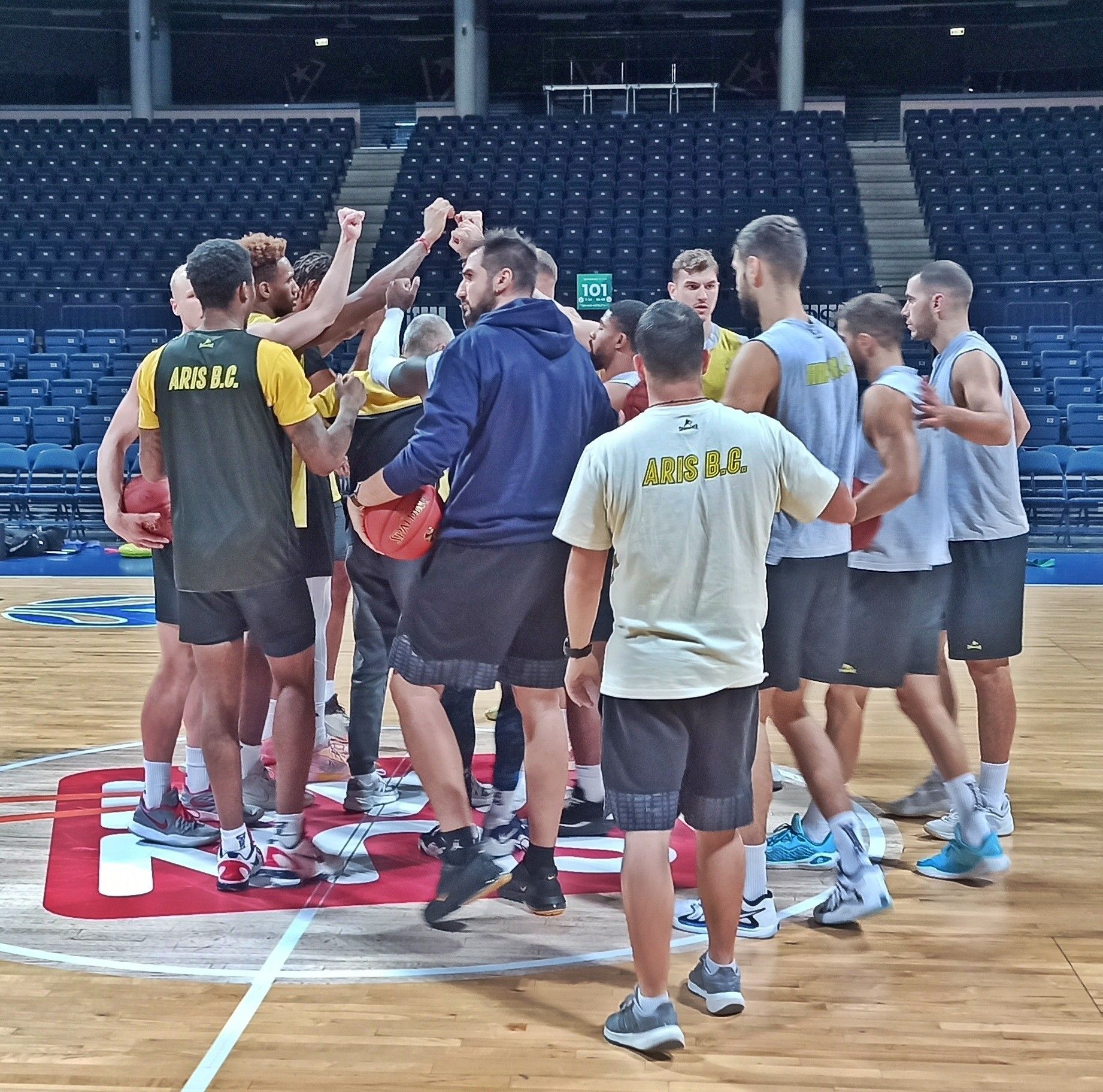 aris-basket-1.jpg